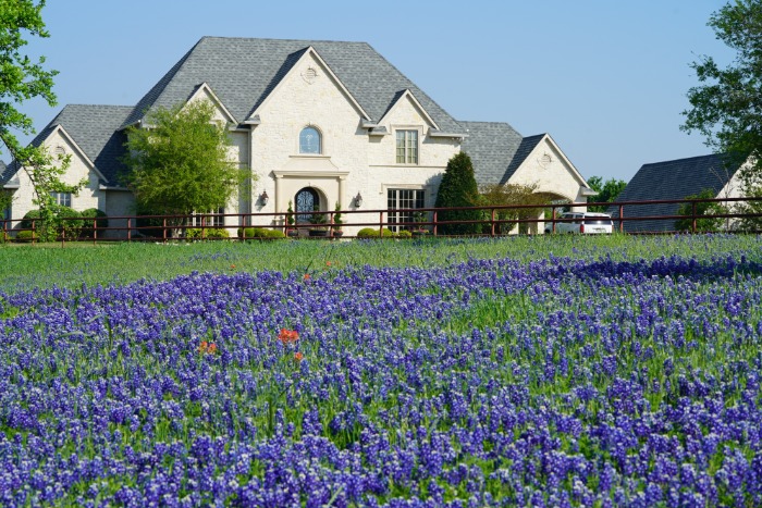 Home with Blue Bonnets